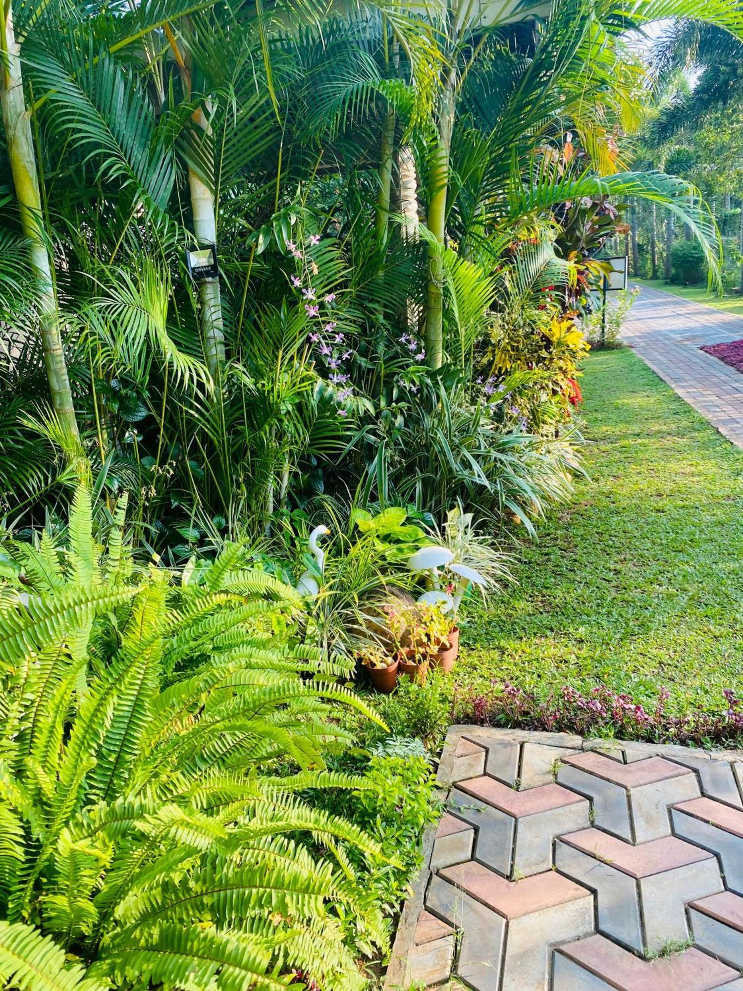 Waasala Leisure Hotel Anuradhapura Exterior photo